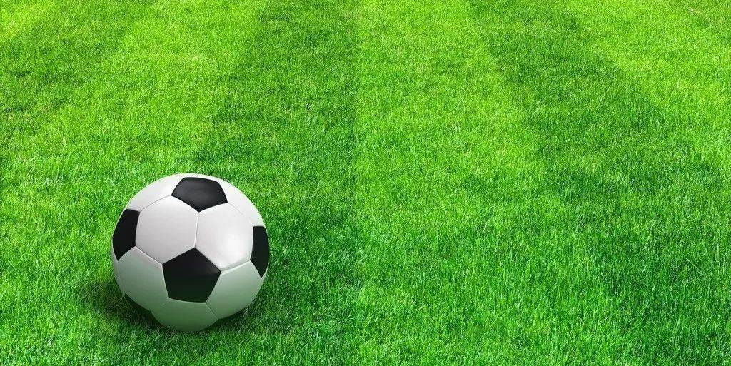 资深篮球球迷使用比分查询功能