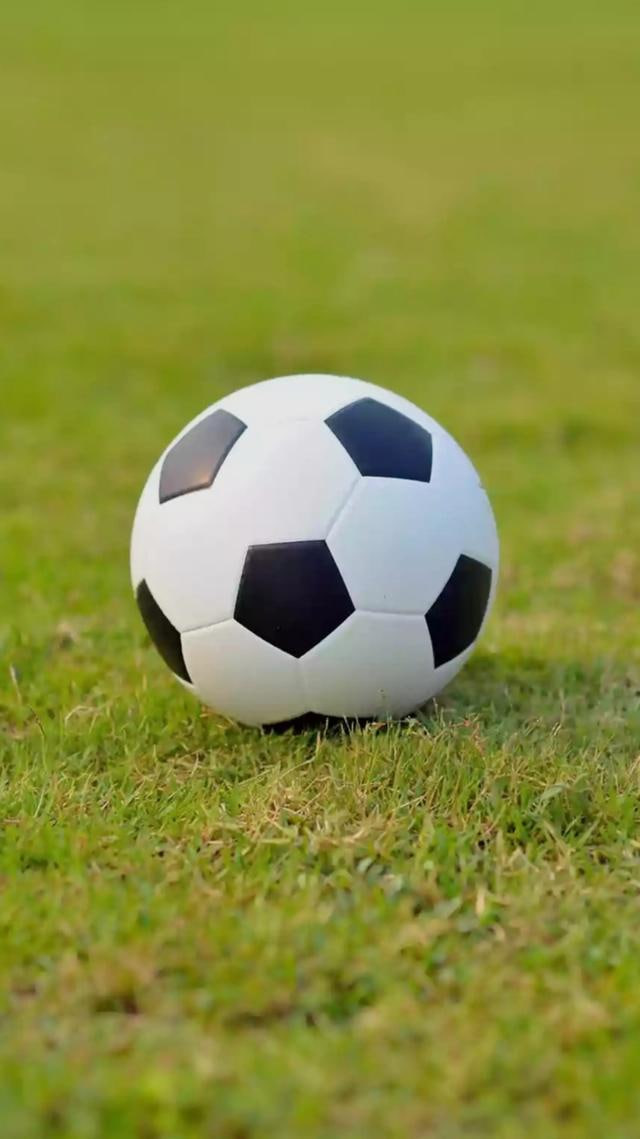 用户李女士头像